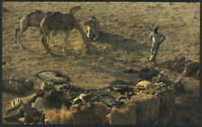 Karawanenlager Bilma Tenere Tuareg Salzkarawane Kunstdruck Photo Poster 457