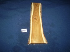 Goldregen Schmuckholz für