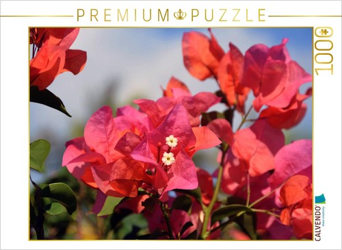 Calvendo puzzle bougainvillea - puzzle,