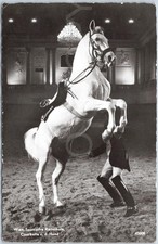 RPPC Antike Postkarte