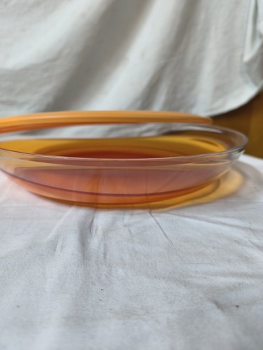 Tupperware container - tupperware,