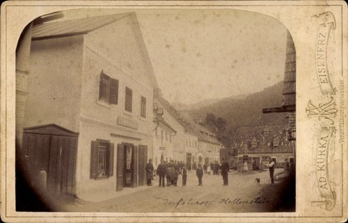 Cdv hollenstein der - cdv,