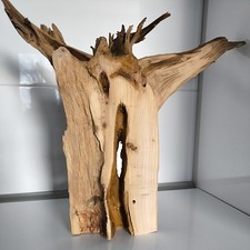 Treibholz Schwemmholz