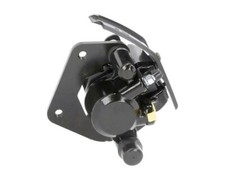 TGB TAIWAN GOLDEN BEE R50X