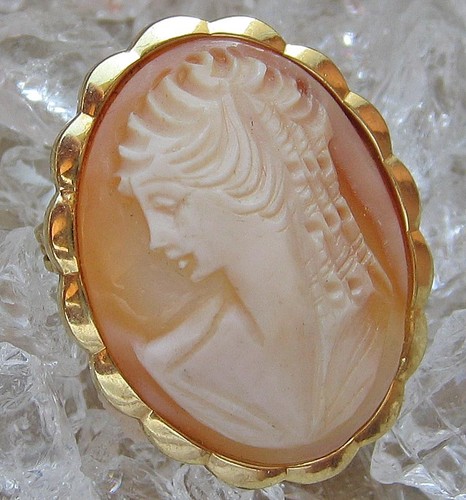 Cameo gemmen brosche aus - brosche,