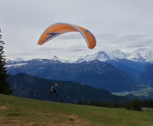Gleitschirm swing miura - gleitschirm,