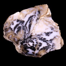 weißer Opal mit Mangandendriten aus der Gllavice Laterit Mine bei Lipia im Kosov