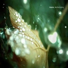 Various - Besame-Electronic