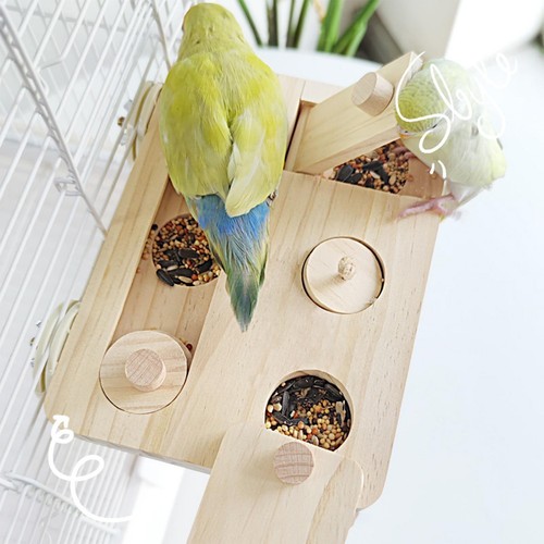 Vogel-Futterstation
