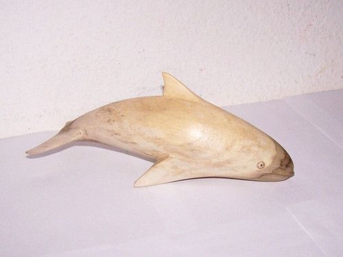 Orca holz orcinus - orca, holzorca