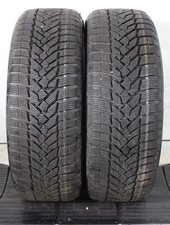 2 x 205/55R16 91H Winterreifen