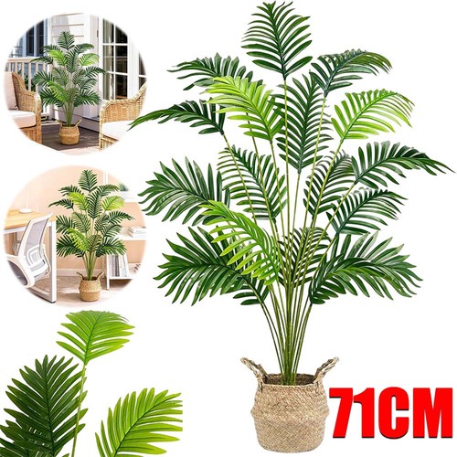 Cycas palme künstlich - cycas-palme,