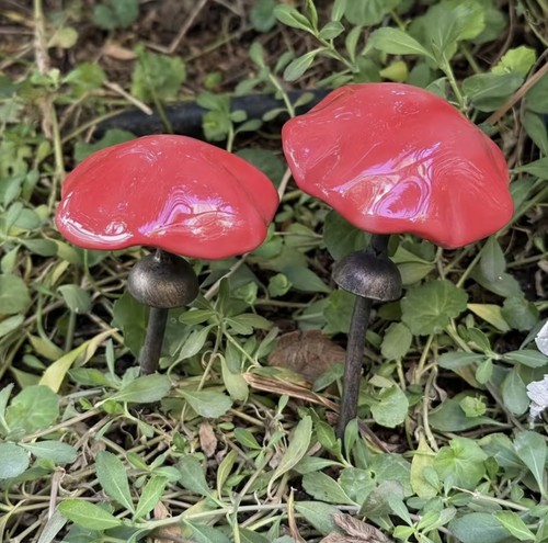 Pilze keramik eisen - pilze,