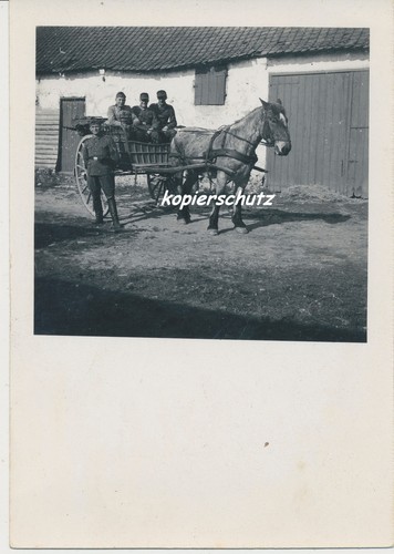 Foto pferdegespann soldaten - foto, pferdegespann-soldaten