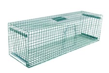 Vogelfalle Elsternfalle