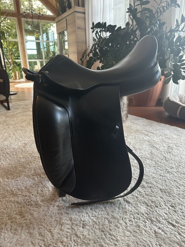 Amerigo equipe belle - la,