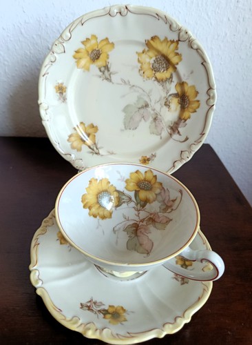 Schwarzenhammer sammeltasse - schwarzenhammer,