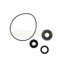 Wasserpumpendichtung Seals