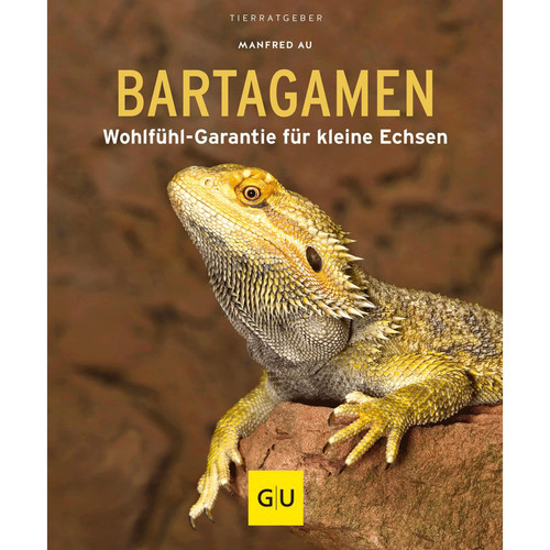Bartagamen wohlfühl garantie - bartagamen:, wohlfühl-garantie