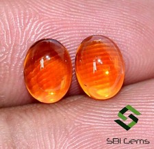 Zertifiziert Natürlich Citrin