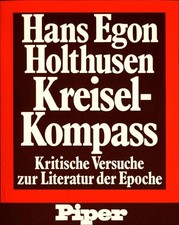 Kreiselkompaß: Kritische