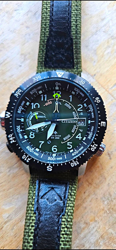 Citizen promaster land - promaster,