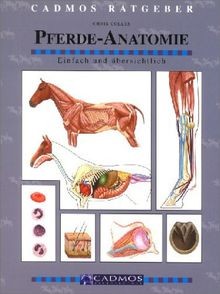 Pferdeanatomie einfach und - einfach,