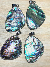 Wunderschöner Paua Muschel