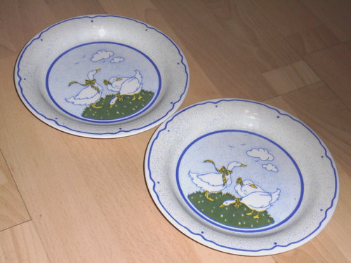 Gänse motiv schöne - motiv, 2x