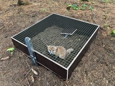 Auslösesystem einzeln für Kofferfalle für Fuchs, Waschbär, etc. Kieferle 000.028