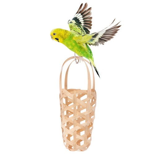 1pc papagei futtersuche - 1pc,