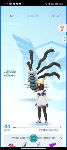 Pokémon random level 40 - random,