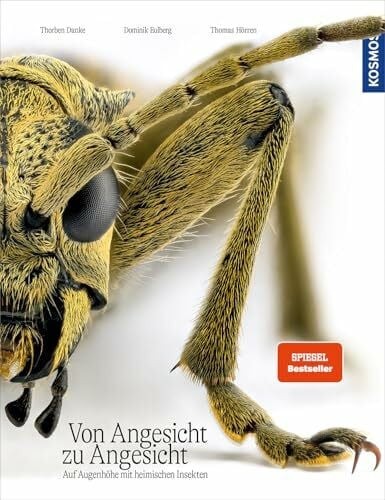 Von angesicht - angesicht, zu