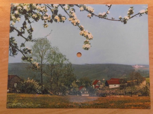 Geschwister caldarelli ddr - geschwister,