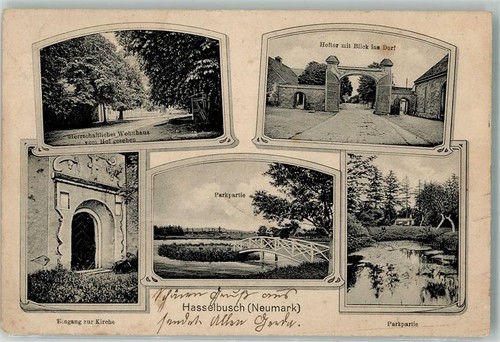 13531220 hasselbusch - 13531220,