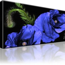 Blaue Mohnblume Bild Bilder Leinwand Keilrahmen Wandbild Kunstdruck