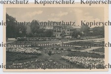 Postkarte, AK, Bunzlau , der