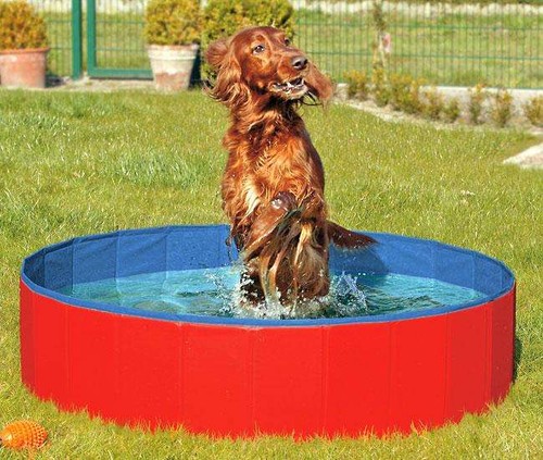 Karlie doggy pool - doggy,