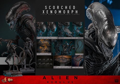 Hot toys alien romulus - toys,