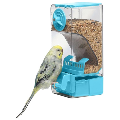 Vogel futterspender - vogel,