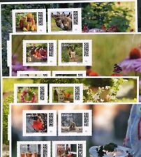 Bund Limitierte Sonderedition