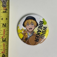 Wind Breaker Akihiko Nieri