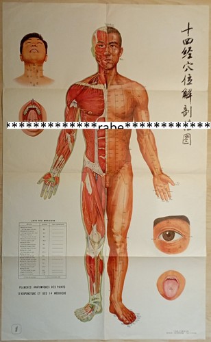 Akupunktur poster papier - , /