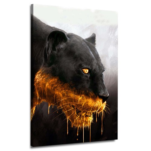 Raubkatze schwarzer panther - raubkatze,