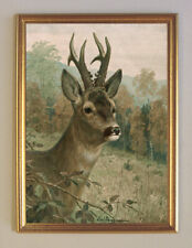 Jagdbild Rehbock II von