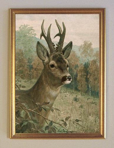 Jagdbild rehbock von - ii,