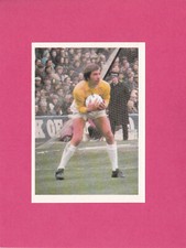 Bergmann - WM 1974 World Cup 74 - Sticker Nr. 114 - Ally Hunter Schottland