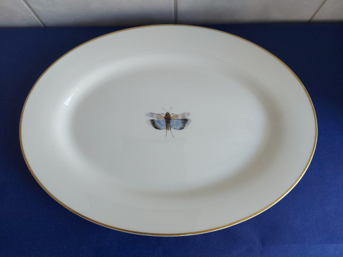 Gilitzer fine bone china - gilitzer,