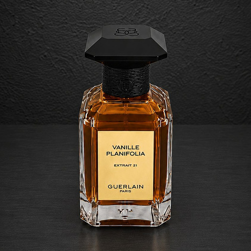 Vanille planifolia extrait - vanille,