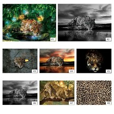 Fototapete leopard tapete - fototapete,